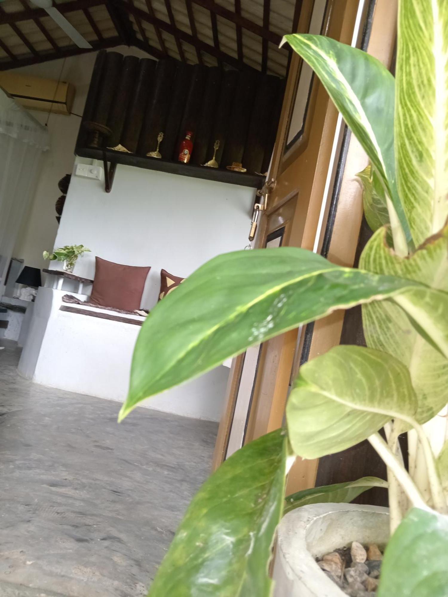 Hathawariya Green View Cabin 탈페 외부 사진